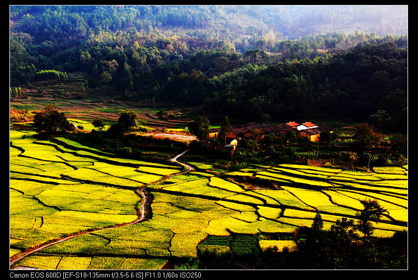 ����ɽ���� 030_nEO_IMG.jpg