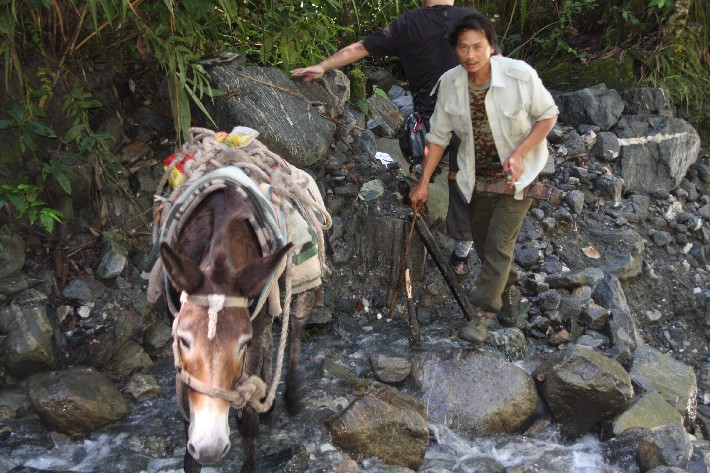 ͽ����Խ���������֮�� (541).JPG