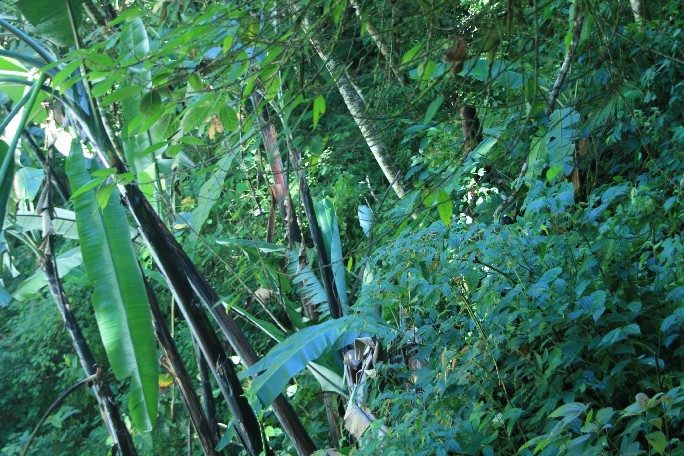 ͽ����Խ���������֮�� (548).JPG