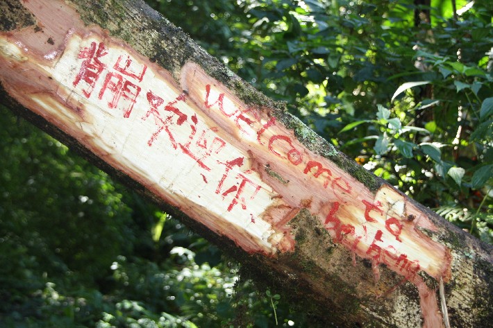 ͽ����Խ���������֮�� (545).JPG