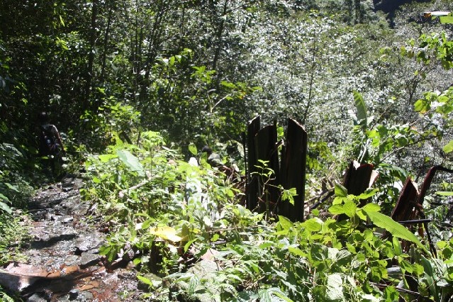 ͽ����Խ���������֮�� (559).JPG