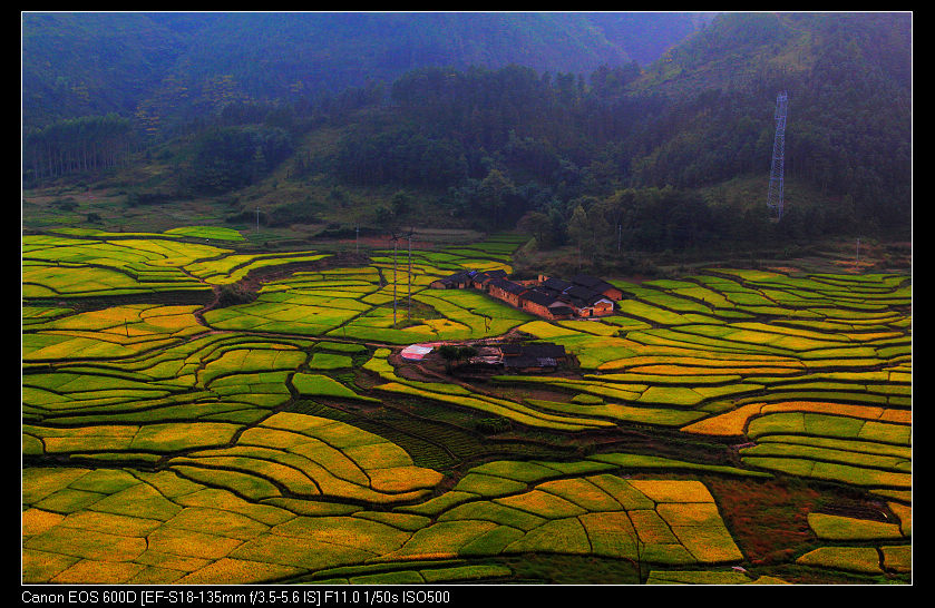 ����ɽ���� 072_nEO_IMG.jpg