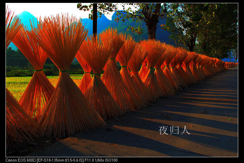 ����ɽ���� 010_nEO_IMG.jpg