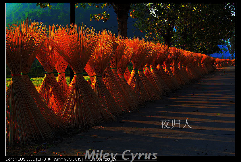 ����ɽ���� 009_nEO_IMG.jpg