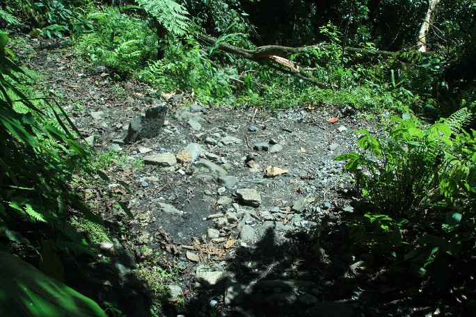 ͽ����Խ���������֮�� (563).JPG