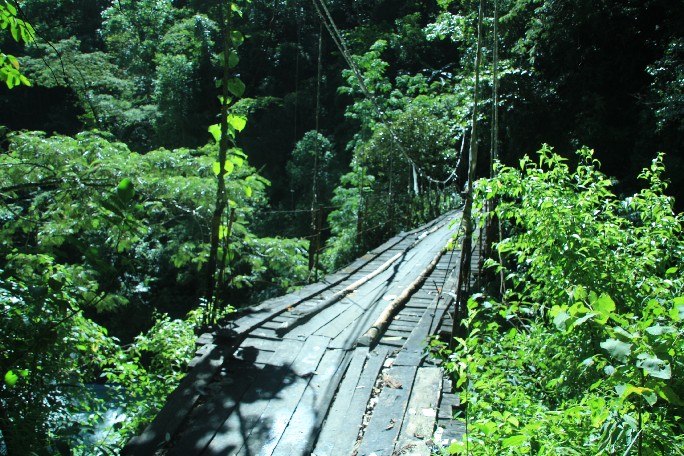 ͽ����Խ���������֮�� (564).JPG