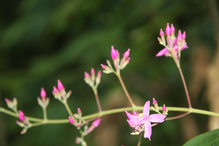 ͽ����Խ���������֮�� (567).JPG