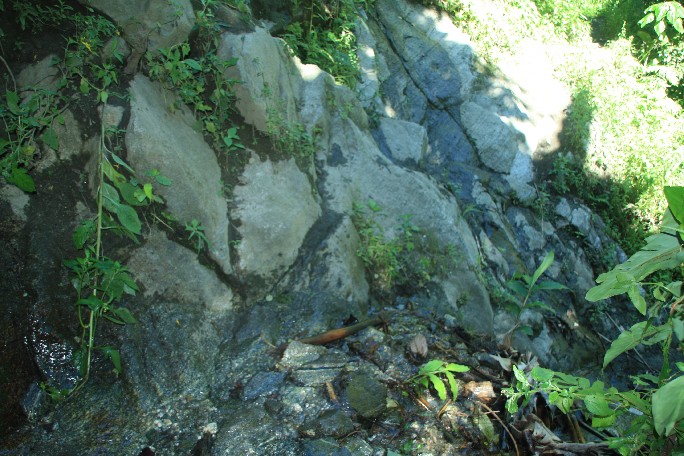 ͽ����Խ���������֮�� (570).JPG