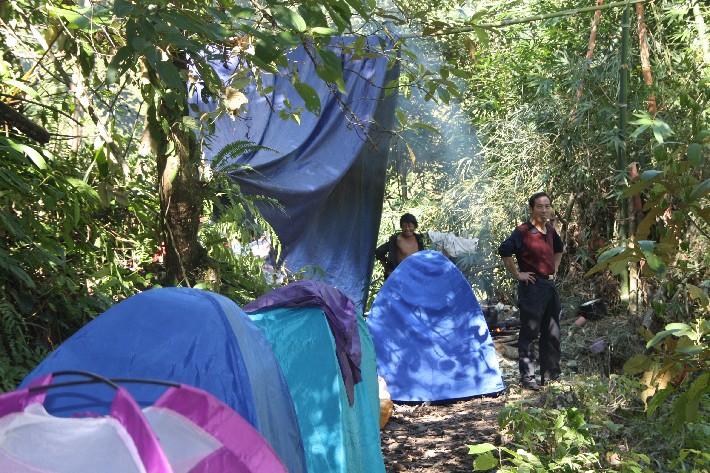 ͽ����Խ���������֮�� (574).JPG