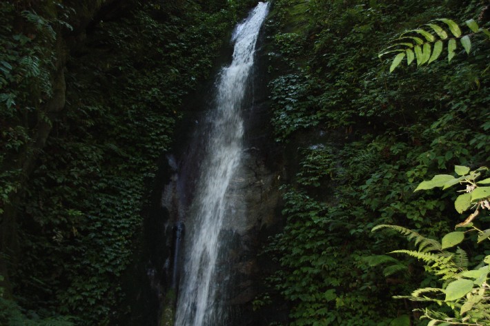 ͽ����Խ���������֮�� (590).JPG