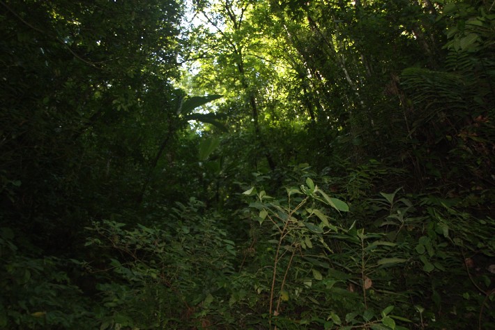 ͽ����Խ���������֮�� (586).JPG