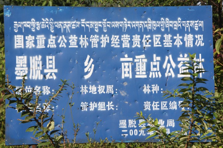 ͽ����Խ���������֮�� (600).JPG