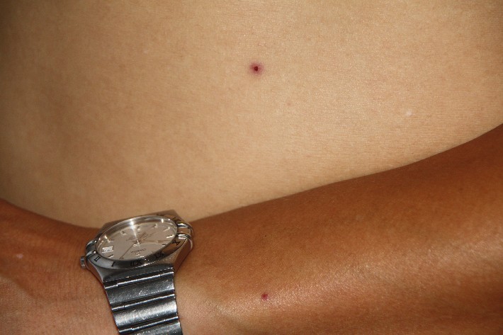 ͽ����Խ���������֮�� (628).JPG