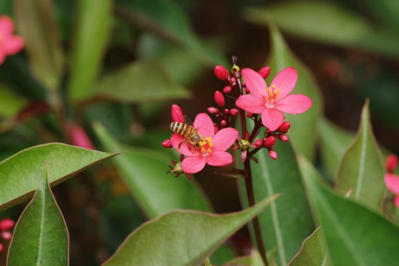 ������С IMG_1705.jpg