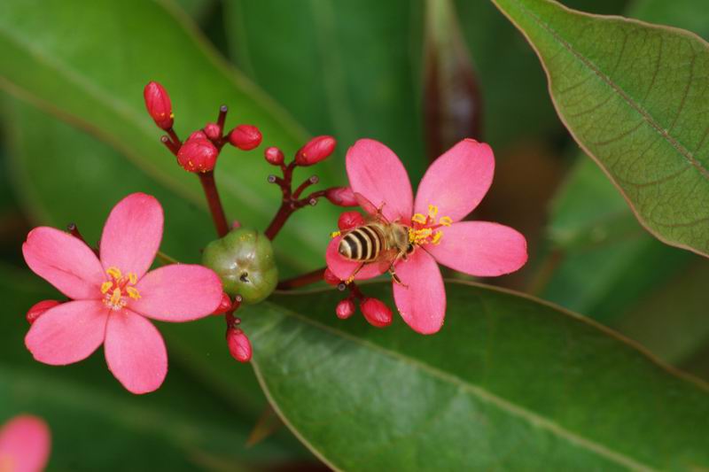 ������С IMG_1711.jpg