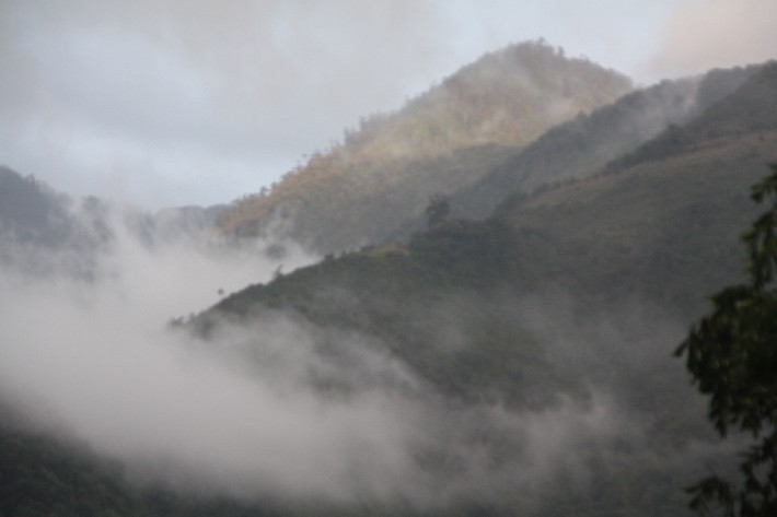 ͽ����Խ���������֮�� (630).JPG