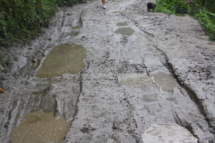 ͽ����Խ���������֮�� (640).JPG