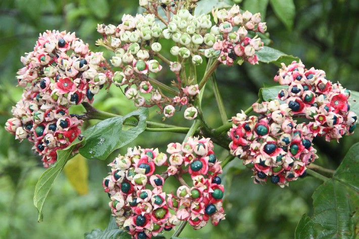 ͽ����Խ���������֮�� (646).JPG