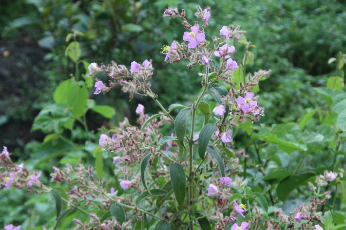 ͽ����Խ���������֮�� (648).JPG