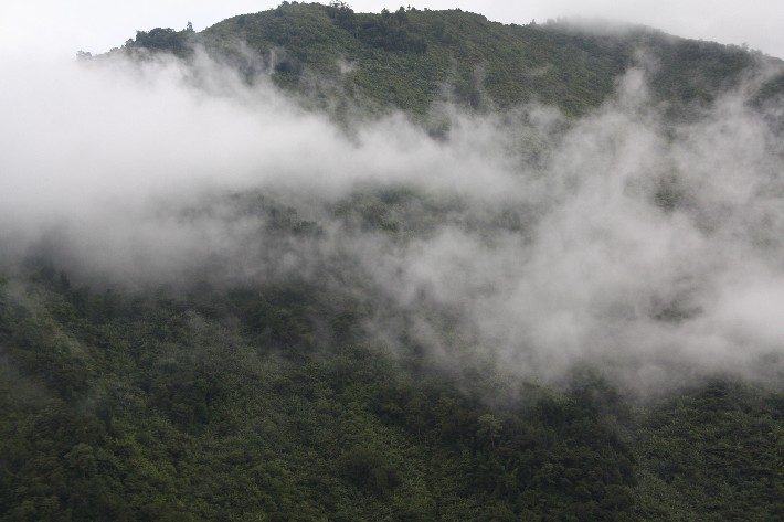 ͽ����Խ���������֮�� (642).JPG