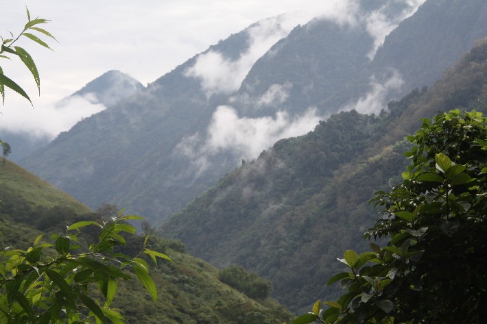 ͽ����Խ���������֮�� (653).JPG