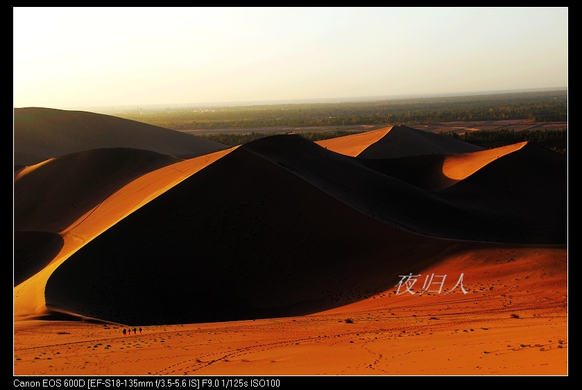 �������ػ͡������2 1113_nEO_IMG.jpg