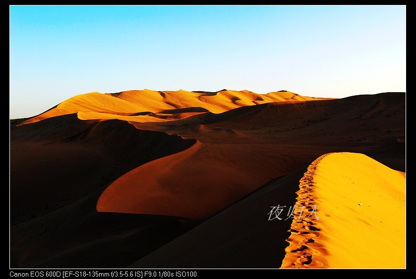 �������ػ͡������2 1115_nEO_IMG.jpg