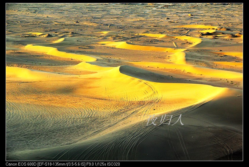 �������ػ͡������2 1131_nEO_IMG.jpg