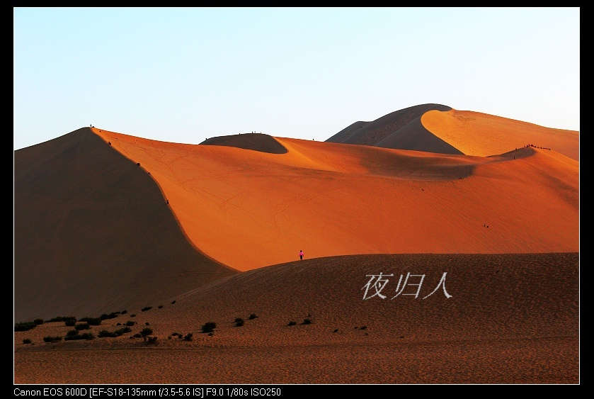 �������ػ͡������2 1135_nEO_IMG.jpg