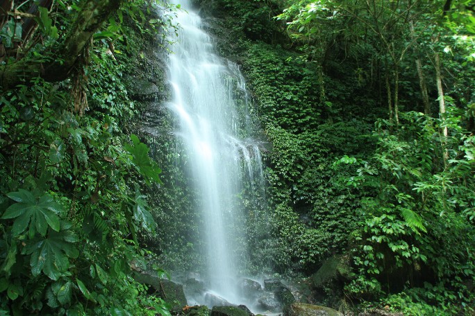 ͽ����Խ���������֮�� (662).JPG