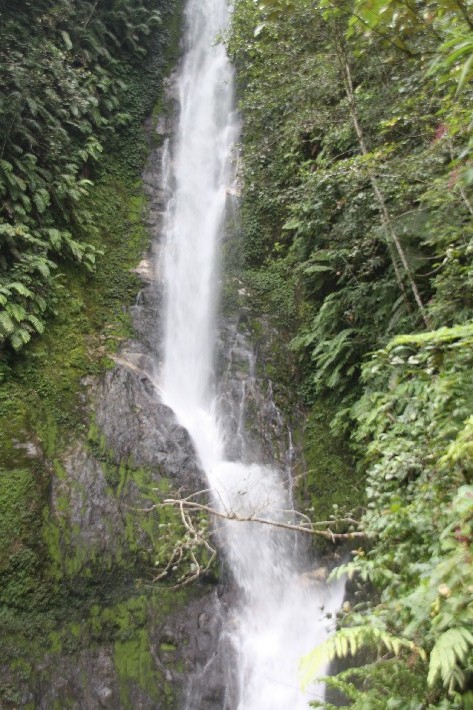 ͽ����Խ���������֮�� (681).JPG