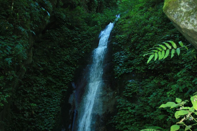 ͽ����Խ���������֮�� (591).JPG