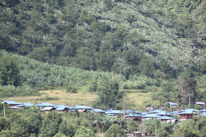 ͽ����Խ���������֮�� (714).JPG