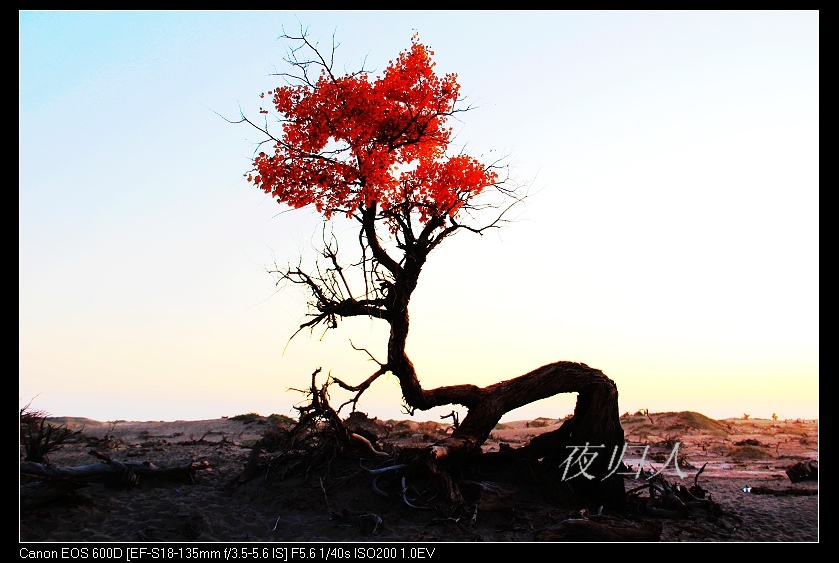 �������ػ͡������3 423_nEO_IMG.jpg