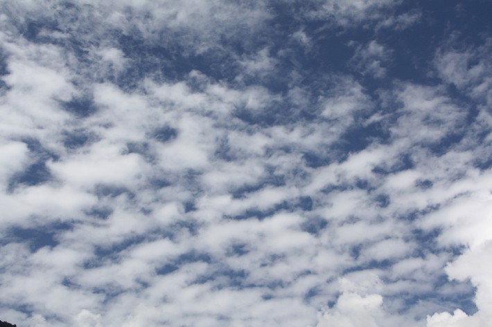 ͽ����Խ���������֮�� (701).JPG