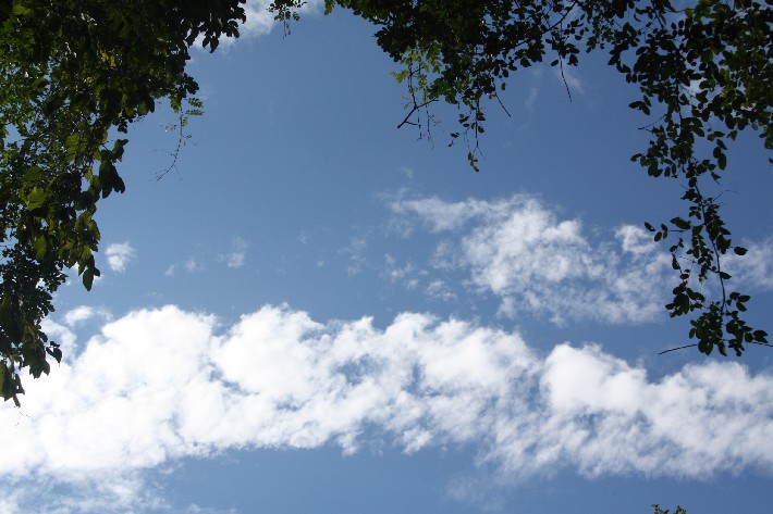 ͽ����Խ���������֮�� (716).JPG