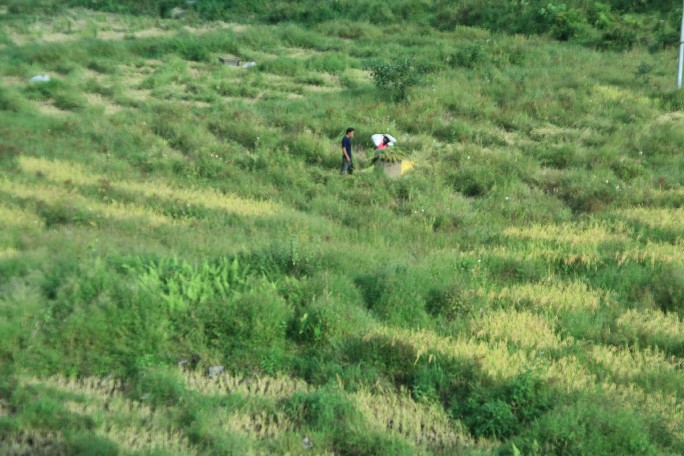 ͽ����Խ���������֮�� (734).JPG