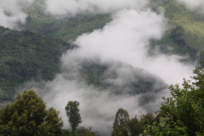 ͽ����Խ���������֮�� (756).JPG