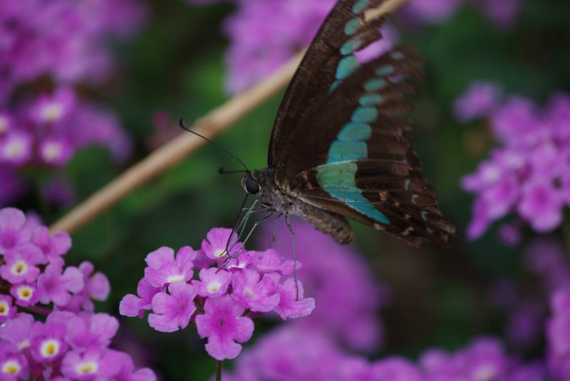 ������С IMG_2147.jpg