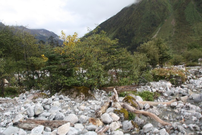 ͽ����Խ���������֮�� (807).JPG