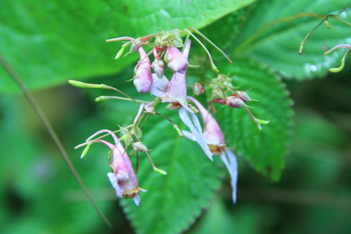 ͽ����Խ���������֮�� (801).JPG