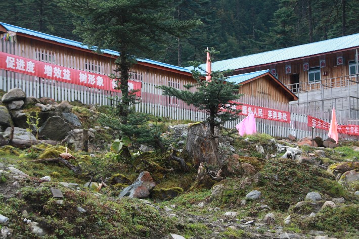 ͽ����Խ���������֮�� (813).JPG