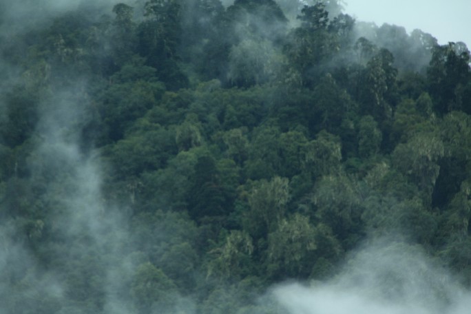 ͽ����Խ���������֮�� (873).JPG