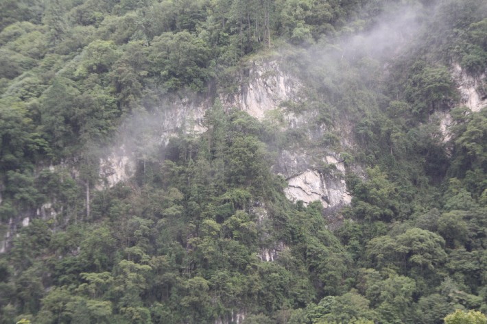 ͽ����Խ���������֮�� (878).JPG