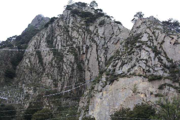 ͽ����Խ���������֮�� (896).JPG