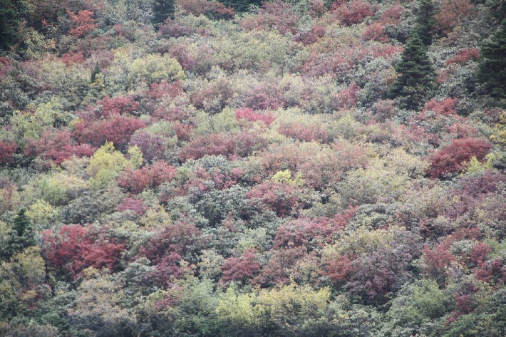 ͽ����Խ���������֮�� (894).JPG