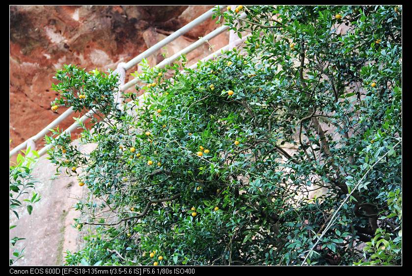 ��ϼ 166_nEO_IMG.jpg