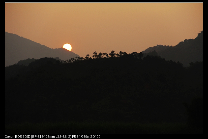 ��ϼ 184_nEO_IMG.jpg