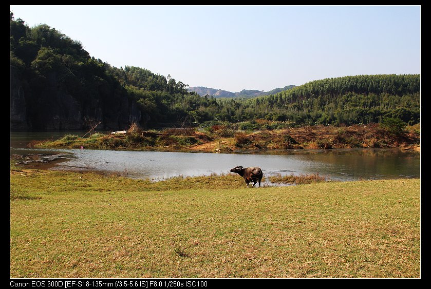 ��ϼ 256_nEO_IMG.jpg