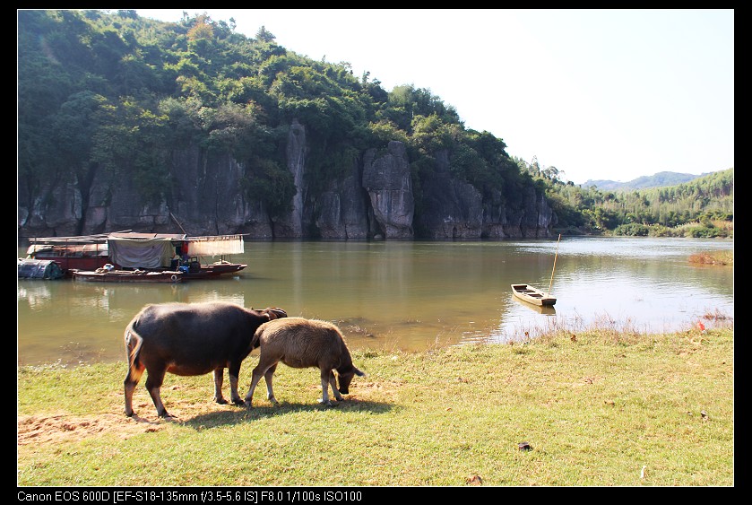 ��ϼ 262_nEO_IMG.jpg